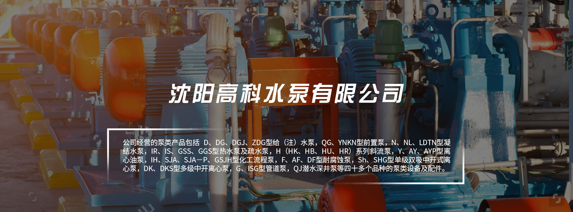日皮视频软件廠家