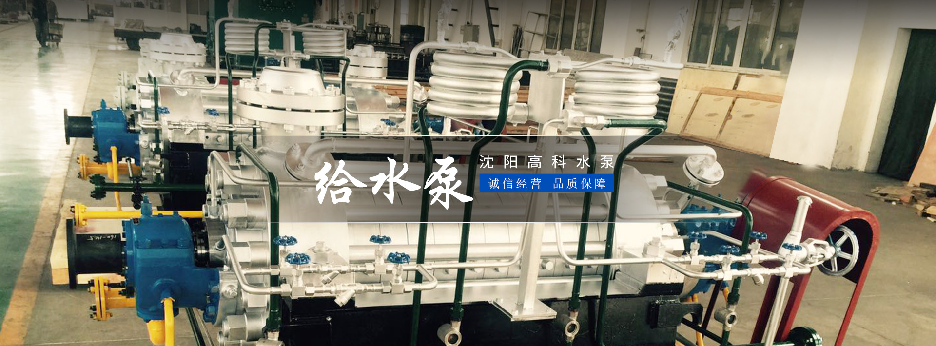 日皮视频软件廠家