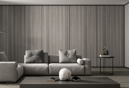 极简日皮视频软件系列