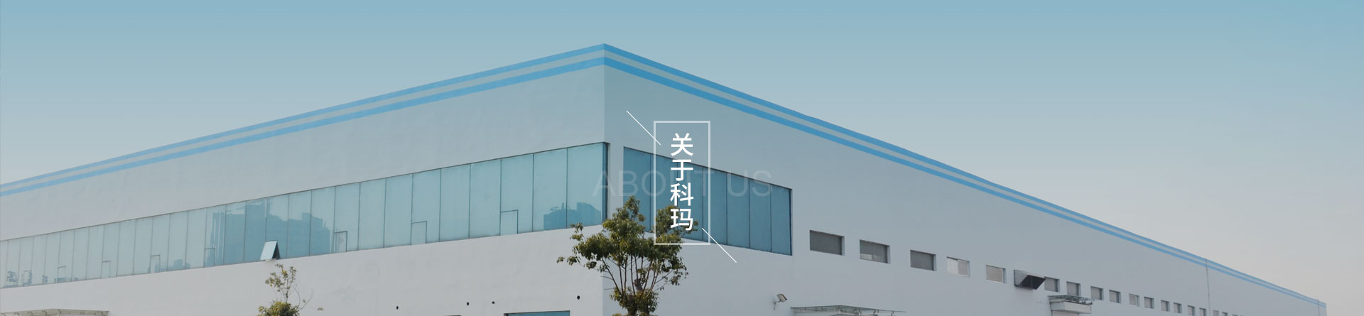 关于日皮视频免费观看