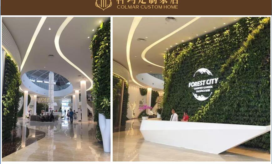 马来西亚碧桂园森林城市